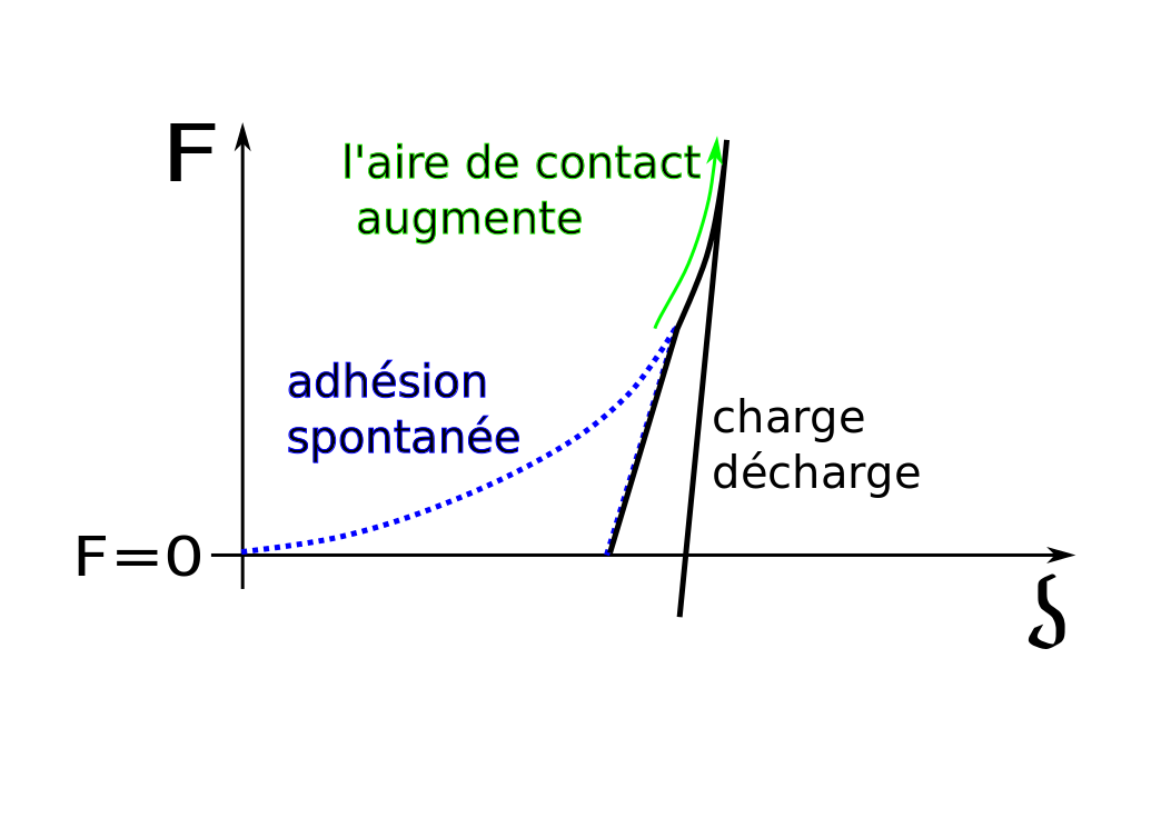 pricipe JKR sphère